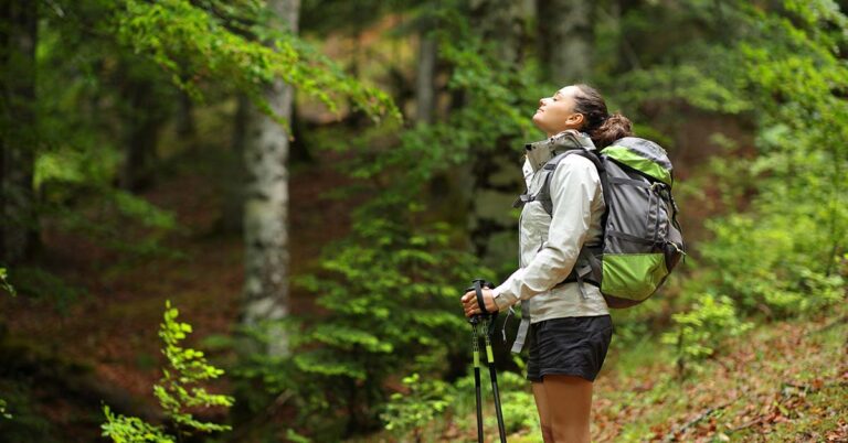 Cannibals Feared to Live In US National Park Where Five People Have Gone Missing - Featured image