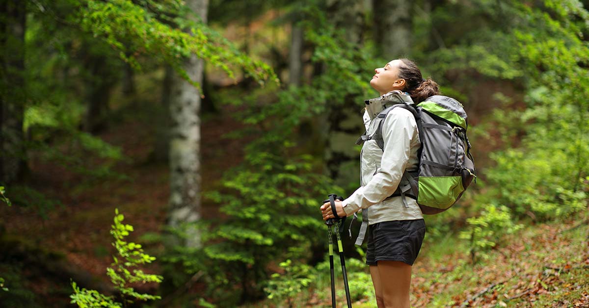 Woman hiking in green forested area