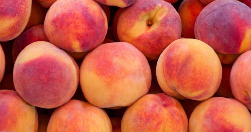 Certain Gut Bacteria May Lower Your Heart Disease Risk, Scientists Say - Featured image