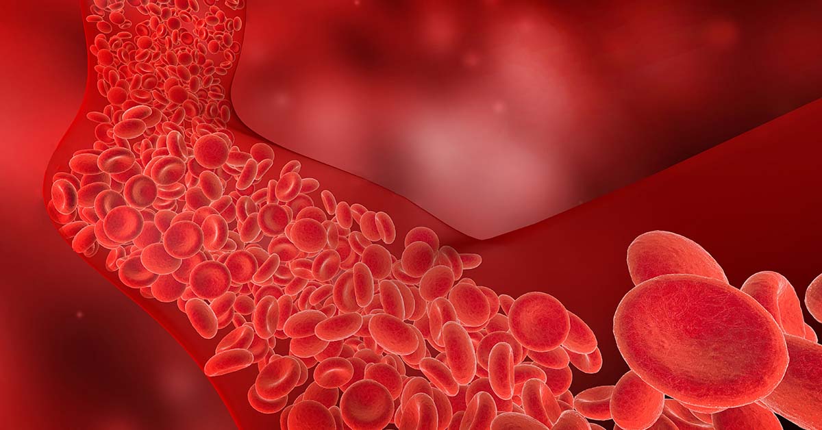3D rendering red blood cells flowing through arteries