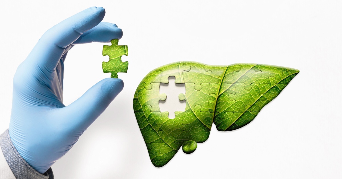 food for liver health concept. hand wearing surgical glove adding puzzle piece to green leaves in shape of liver