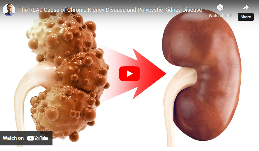 youtube kidney video