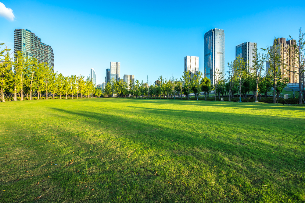 green lawn with city skyline in hangzhou china