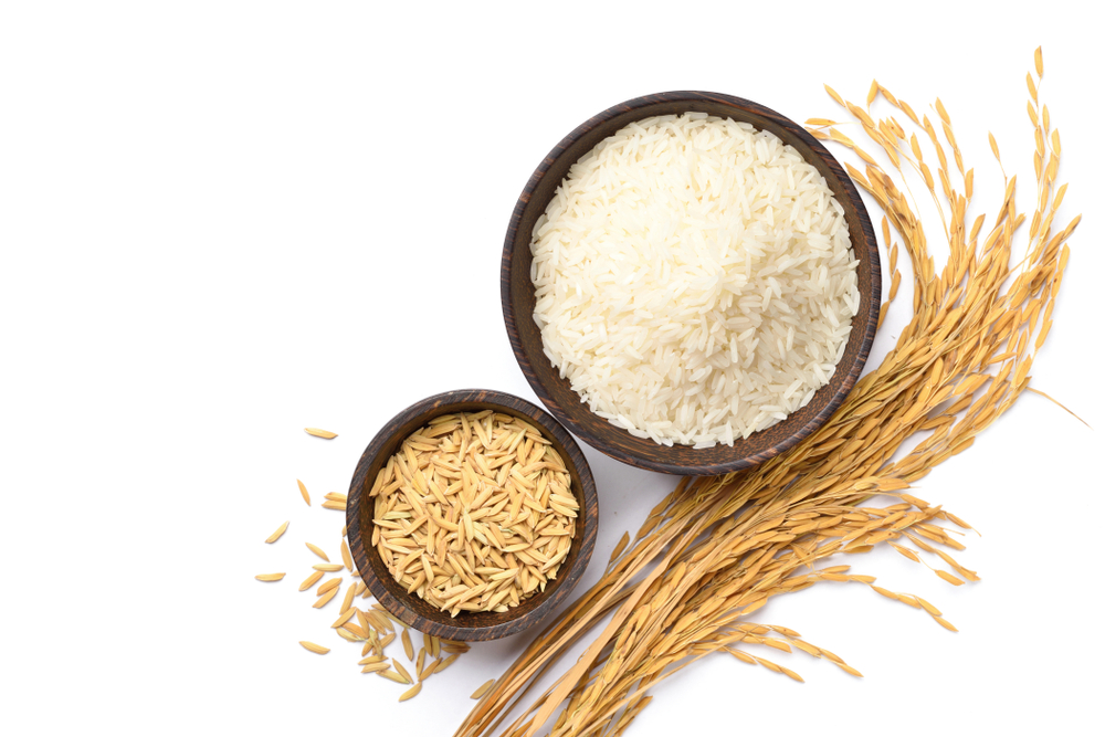 Top view of white rice and paddy rice in wooden bowl with rice ear isolated on white background.
