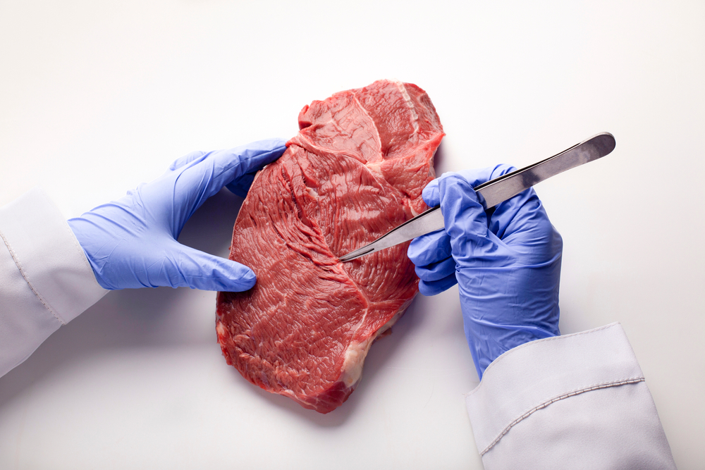 Scientist carries out meat quality control, free space