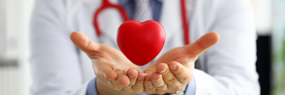 Male medicine doctor hands holding and covering red toy heart closeup. Cardio therapeutist student education physician make cardiac physical heart rate measure arrhythmia concept