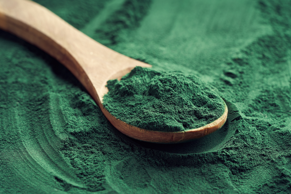 Fresh spirulina powder on a spoon on a green background