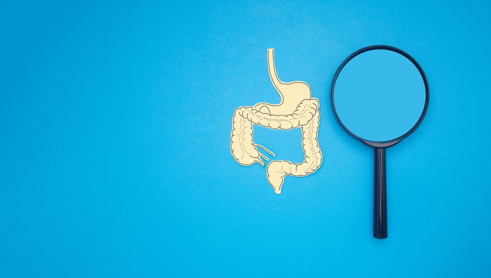 Yellow paper intestine and magnifying glass over a blue background. Top view. Bowel digestion, leaky gut, probiotics and prebiotics for gut health, colon, gastric, stomach cancer concept
