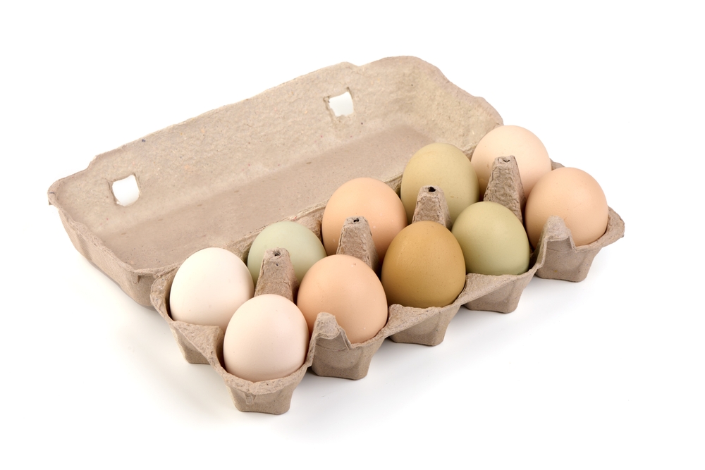 Chicken eggs packed in cardboard tray, isolated on white background.
