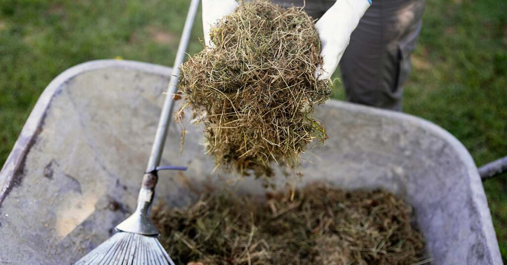 15 Clever and Unique Ways to Use Grass Clippings - Featured image