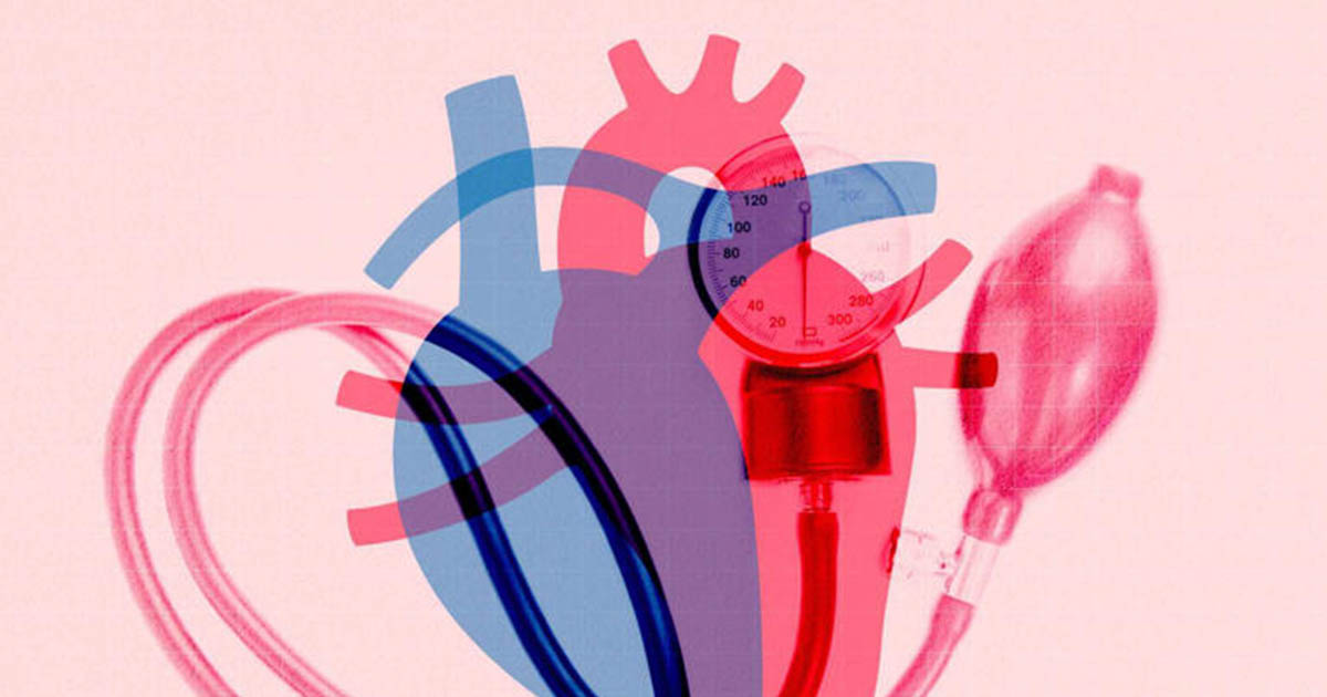 Study Suggests These 4 Traits May Increase Early Heart Attack Risk : The Hearty Soul