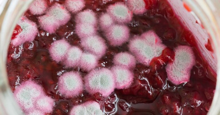 18 Foods To Toss As Soon As They Expire - Featured image