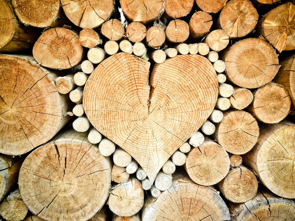 aerial view of a heart shaped out of wood surrounded by smaller logs