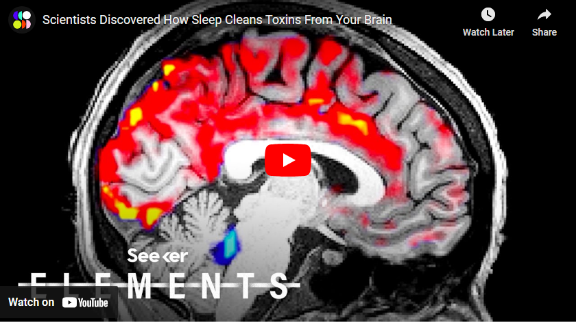 sleep cleans toxins from your brain youtube video 