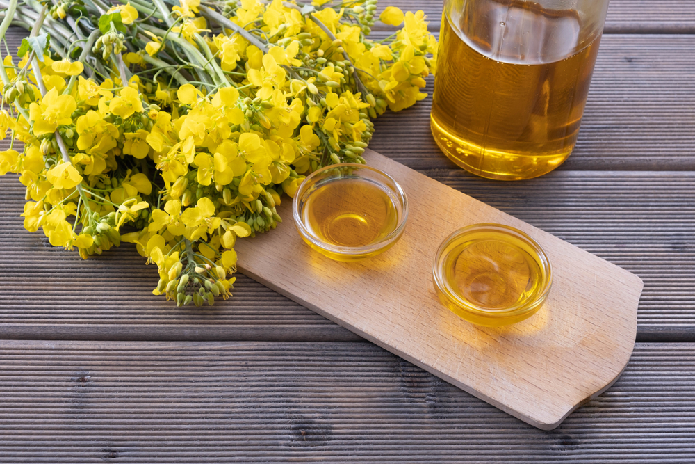 bottle and cups with rapeseed oil, next to young rapeseed flowers on a wooden table
