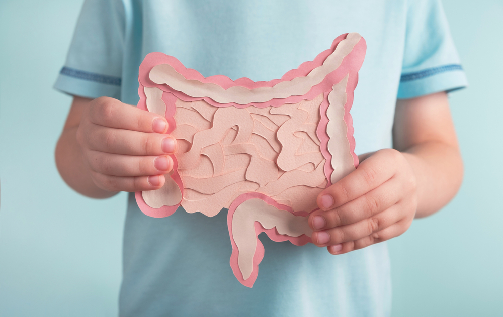 Child holding decorative model intestine. Healthy digestion children concept, probiotics and prebiotics for microbiome intestine. Close up