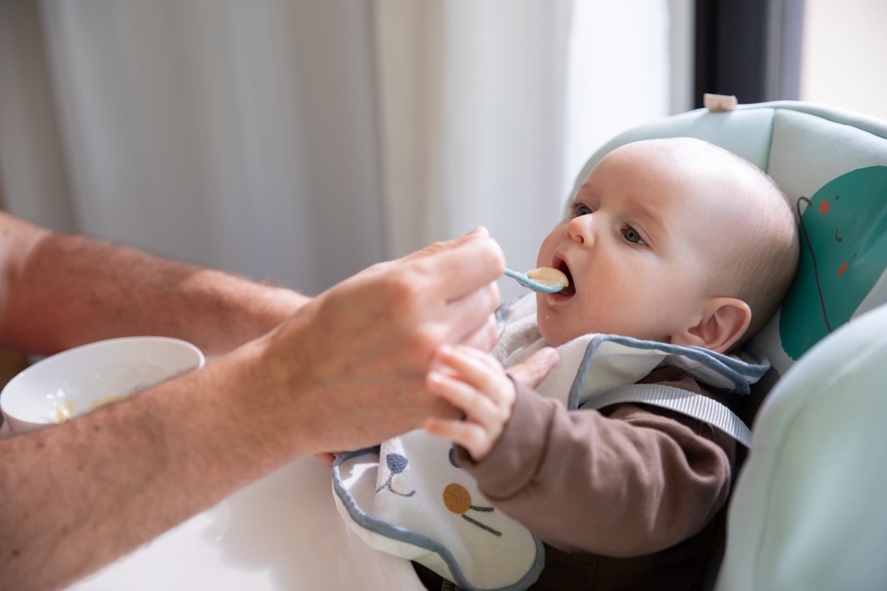 Baby being fed in a high chair, starting solids food. Parent´s hand visible with puree on a spoon being brought to little baby´s mouth.