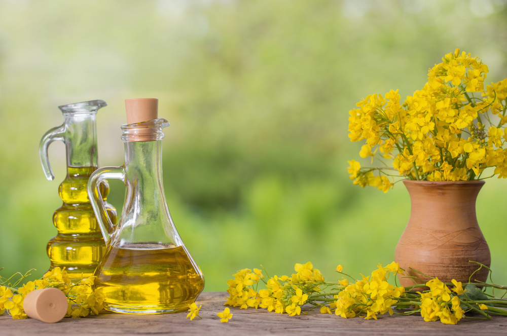 rapeseed oil (canola) and rape flowers on wooden table
