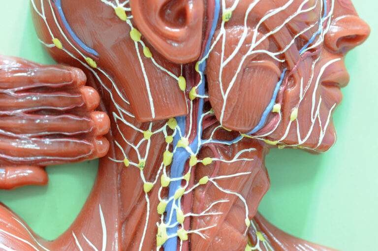 Lymphatic health: How to keep your lymphatic system healthy