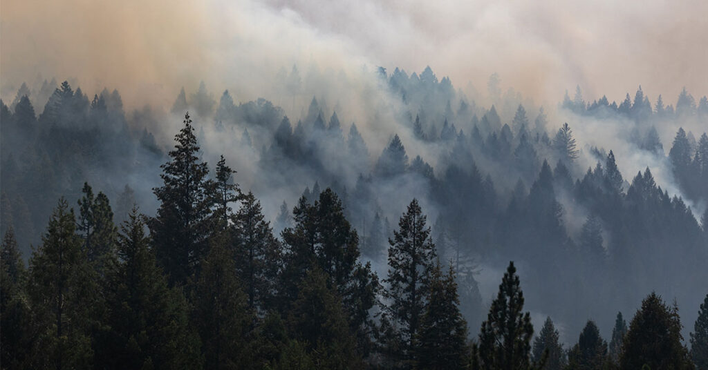 People Are Dying Prematurely From An Overlooked Source, and It Could Be In The Air You Breath - Featured image