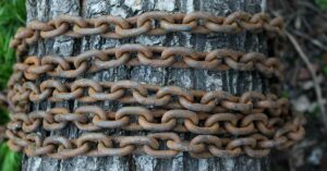 American Woman Found Chained To A Tree And Left to Die With No Food for 40 Days chain around tree trunk