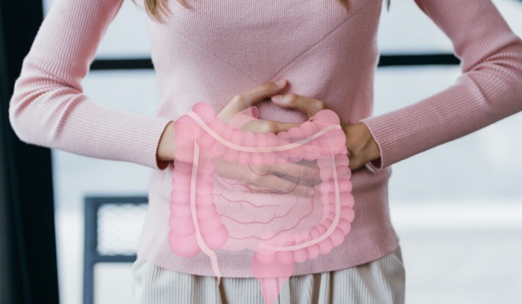 woman hands touching on stomach with intestine virtual icon, probiotics food for gut health, colon cancer, bowel inflammatory. Healthy feminine concept.