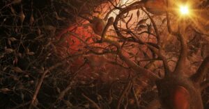 First Ever Recording Of Dying Human Brain Shows Possible "Life Recall" Activity 3d illustration, close up of neurons in brain