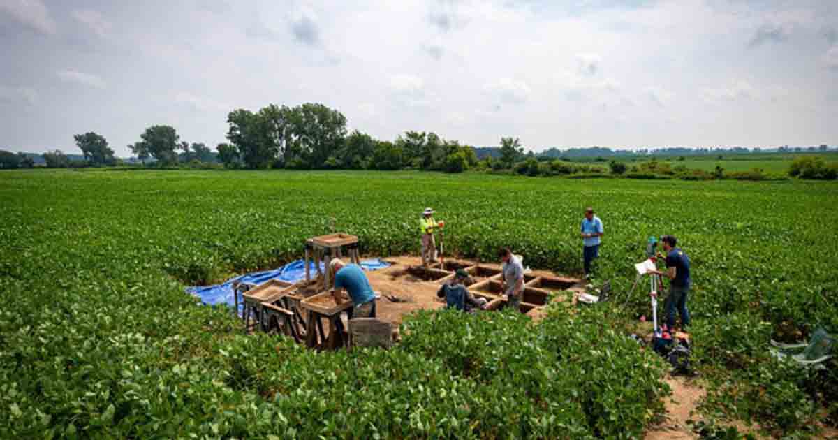 Dissociative identity disorder visual data 4