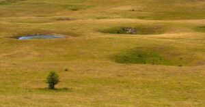 Sinkholes in the Bravsko Polje karst landscape near Bosanski Petrovac in Una-Sana Canton, the Federation of Bosnia and Herzegovina. Early