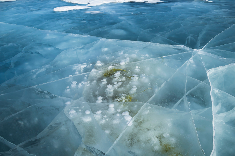 Close-up of blue ice of Baikal lake with the frozen bubbles of methane and the beautiful seaweed in blue and white was taken in winter in February.