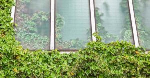 Greenhouse