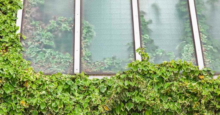 Woman Encloses Home in Massive Greenhouse To Grow Food Year-Round and Stay Warm in Cold Norwegian Climate - Featured image