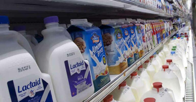 Milk Sold in 27 States Has Been Recalled: Avoid and Return for a Refund - Featured image