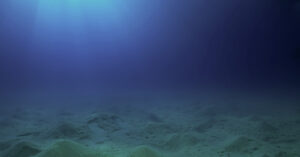seafloor