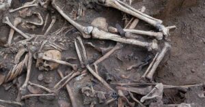 Old mass burial of human remains on the battlefield. war crime. echo of war. mass grave. With archaeological markers