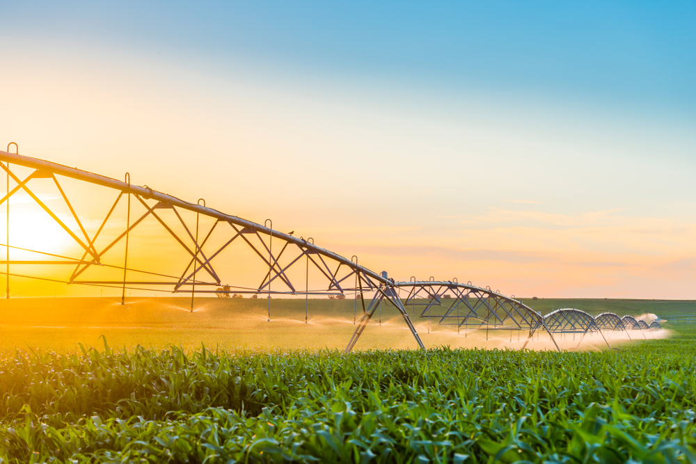 Center Pivot Irrigation System in Cornfield