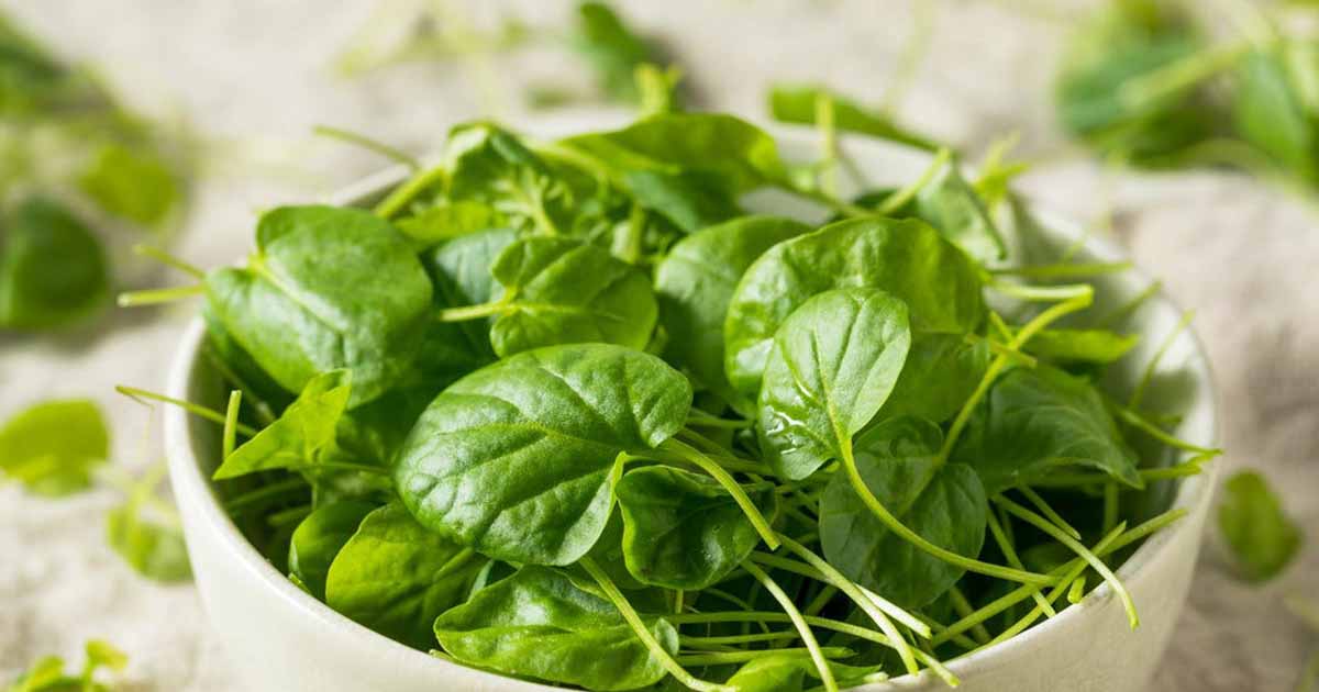 the-healthiest-vegetable-in-the-world-is-this-according-to-experts