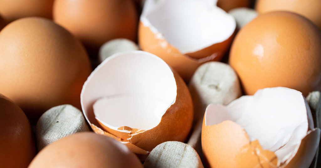 Don’t Toss Those Eggshells: 17 Ways to Reuse Them - Featured image