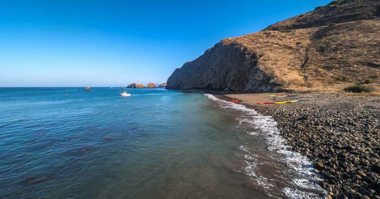  Another So-Called ‘Doomsday’ Fish Has Washed Up On The California Coast - Featured image
