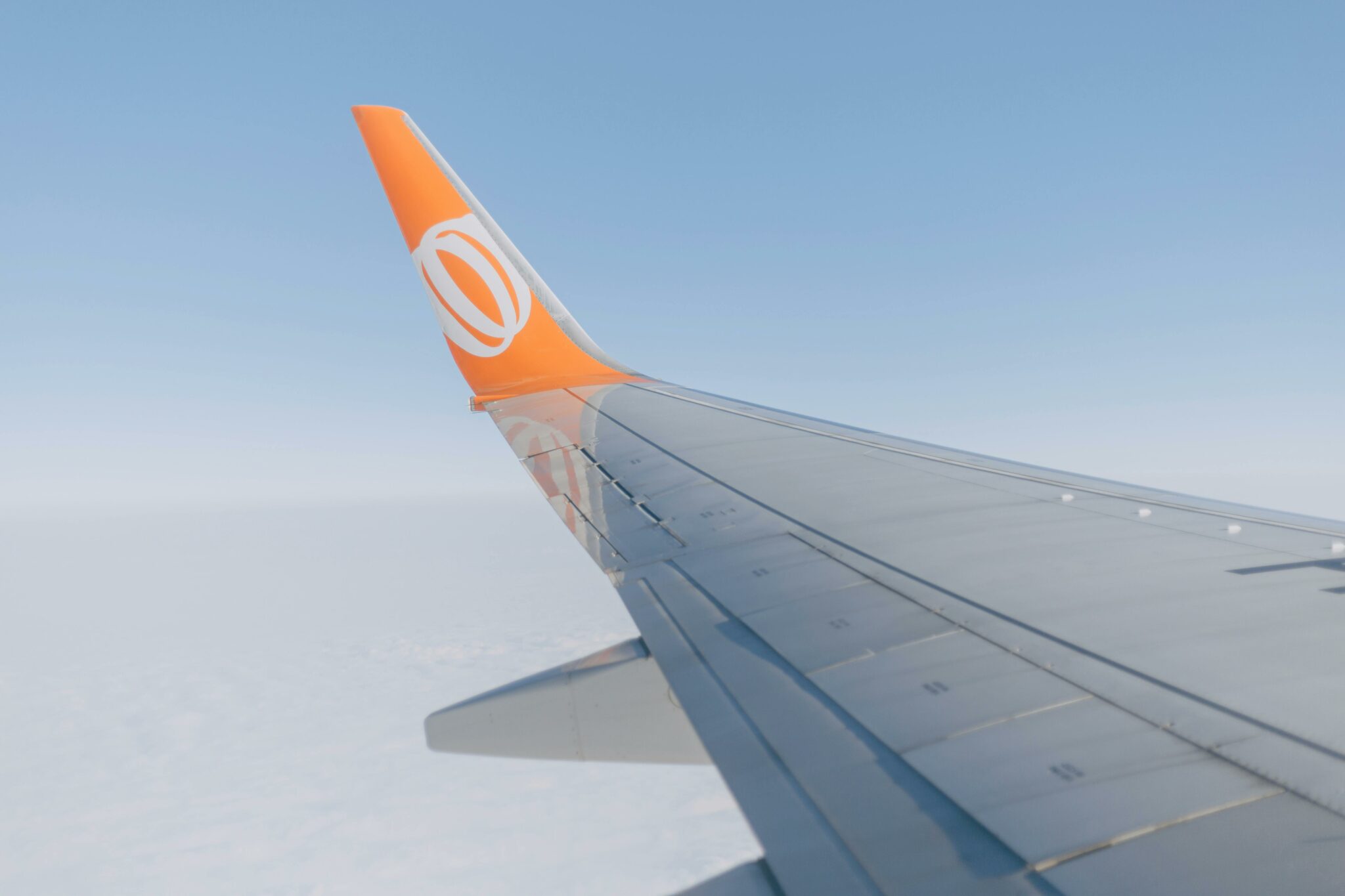 10+ Things Airlines Don’t Want You To Know About The Hearty Soul(02)