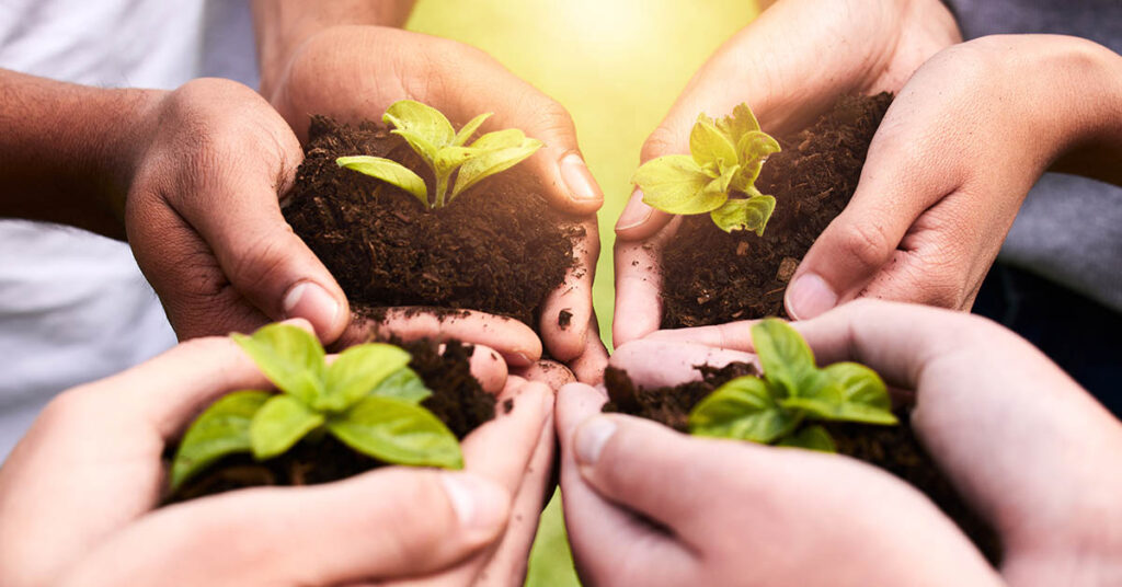 Atlanta Turns 7-Acre Vacant Lot into Largest Free Food Forest In the Country - Featured image