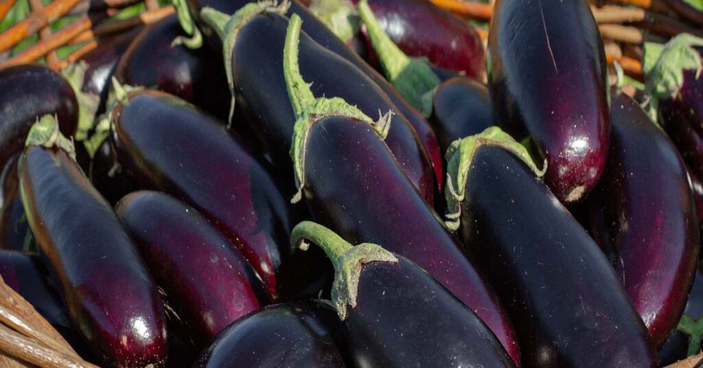 Reasons You Should (and Shouldn’t) Eat More Eggplant - Featured image