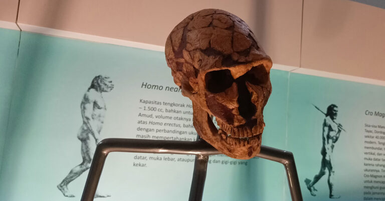 Incredible Find: 6-Year-Old Discovers 50,000-Year-Old Neanderthal Axe on Beach - Featured image