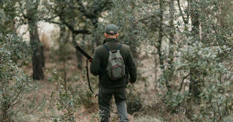 Hunter Dies After Bear Shot in Tree Crashes Down on Him - Featured image