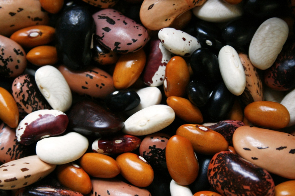 assorted legumes