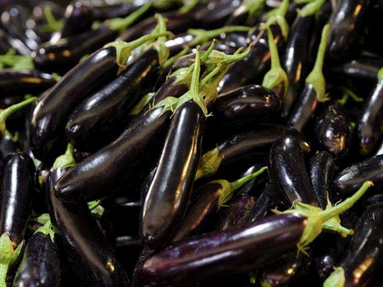Reasons You Should (and Shouldn’t) Eat More Eggplant