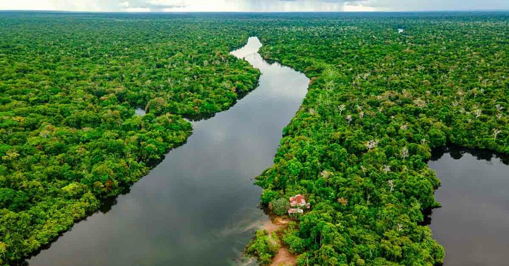 Laser Mapping Discovers Ancient Amazonian Cities Over 2,500 Years Old - Featured image