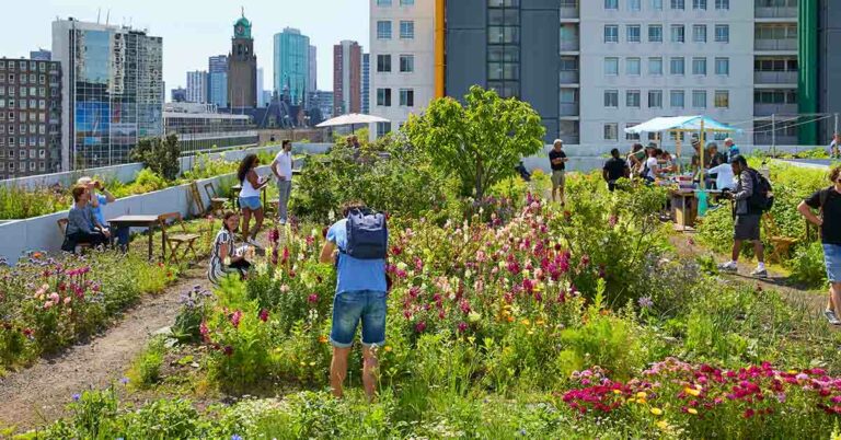 What are Blue Roofs, and Should You Get One For Your Home? - Featured image