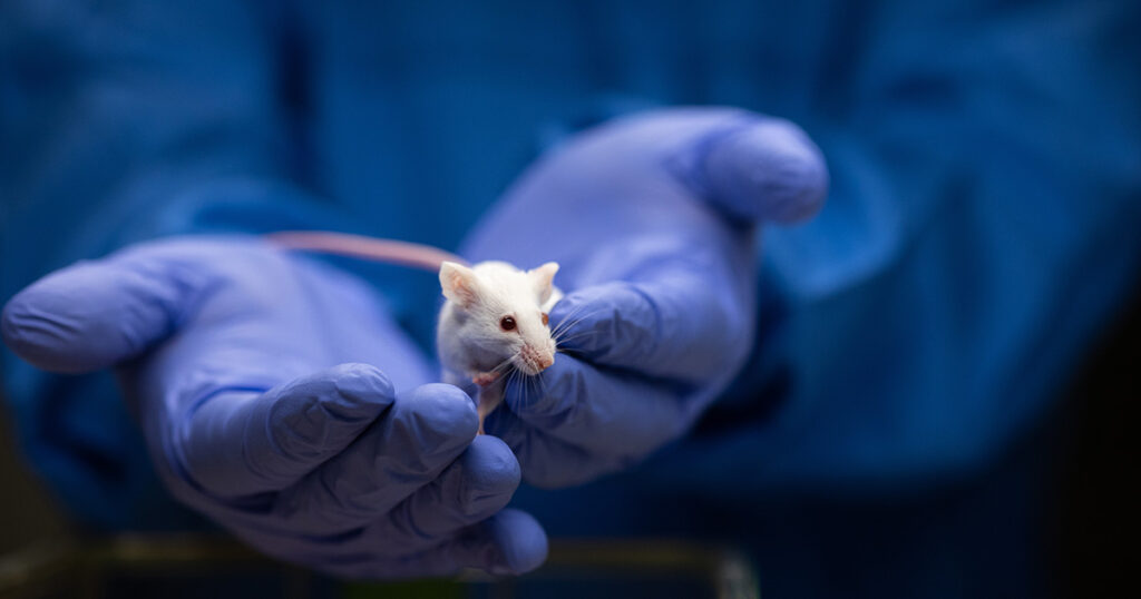 Study Finds Weight Loss Medication Semaglutide May Shrink Heart Muscle Tissue - Featured image