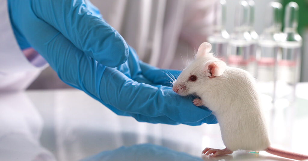 Breakthrough Breast Cancer Drug Eliminates Tumors in Mice - Featured image